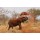 Fototapetas Prausiantis raudonasis Kenijos dramblys